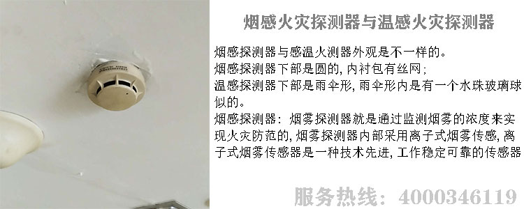 国产AV天天5G天天爽探測器